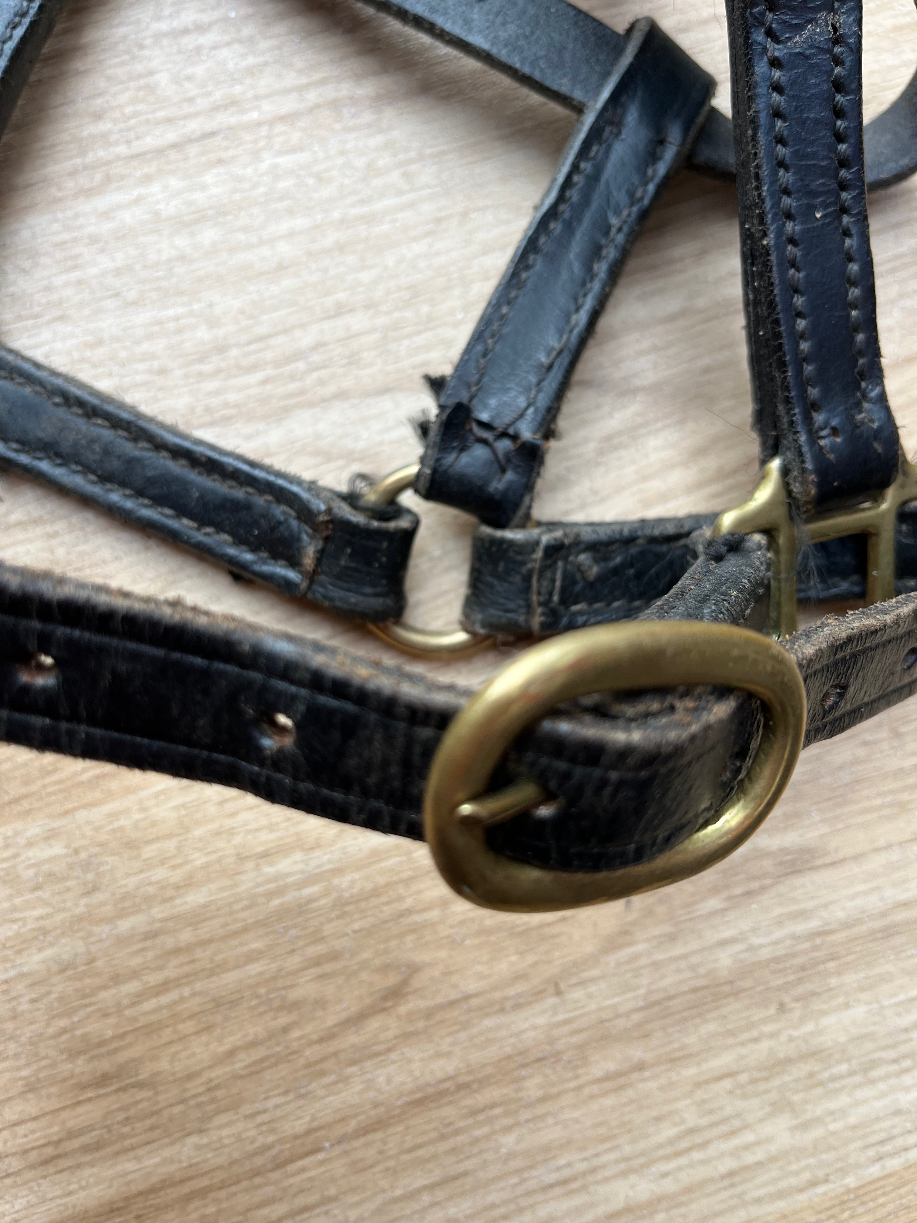 Leather Headcollar X Small Black