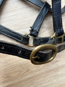 Leather Headcollar X Small Black