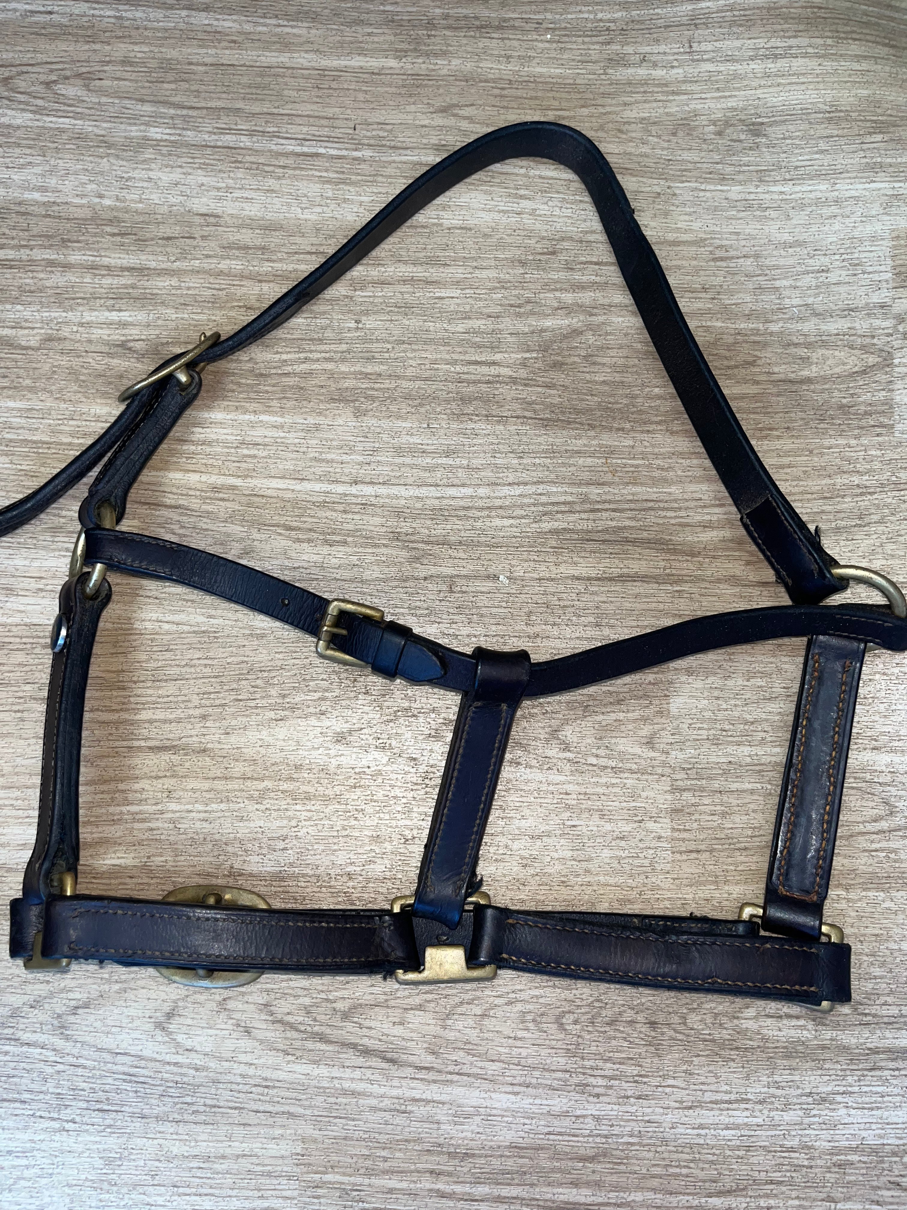 Blenheim Collection Leather Headcollar Size Pony