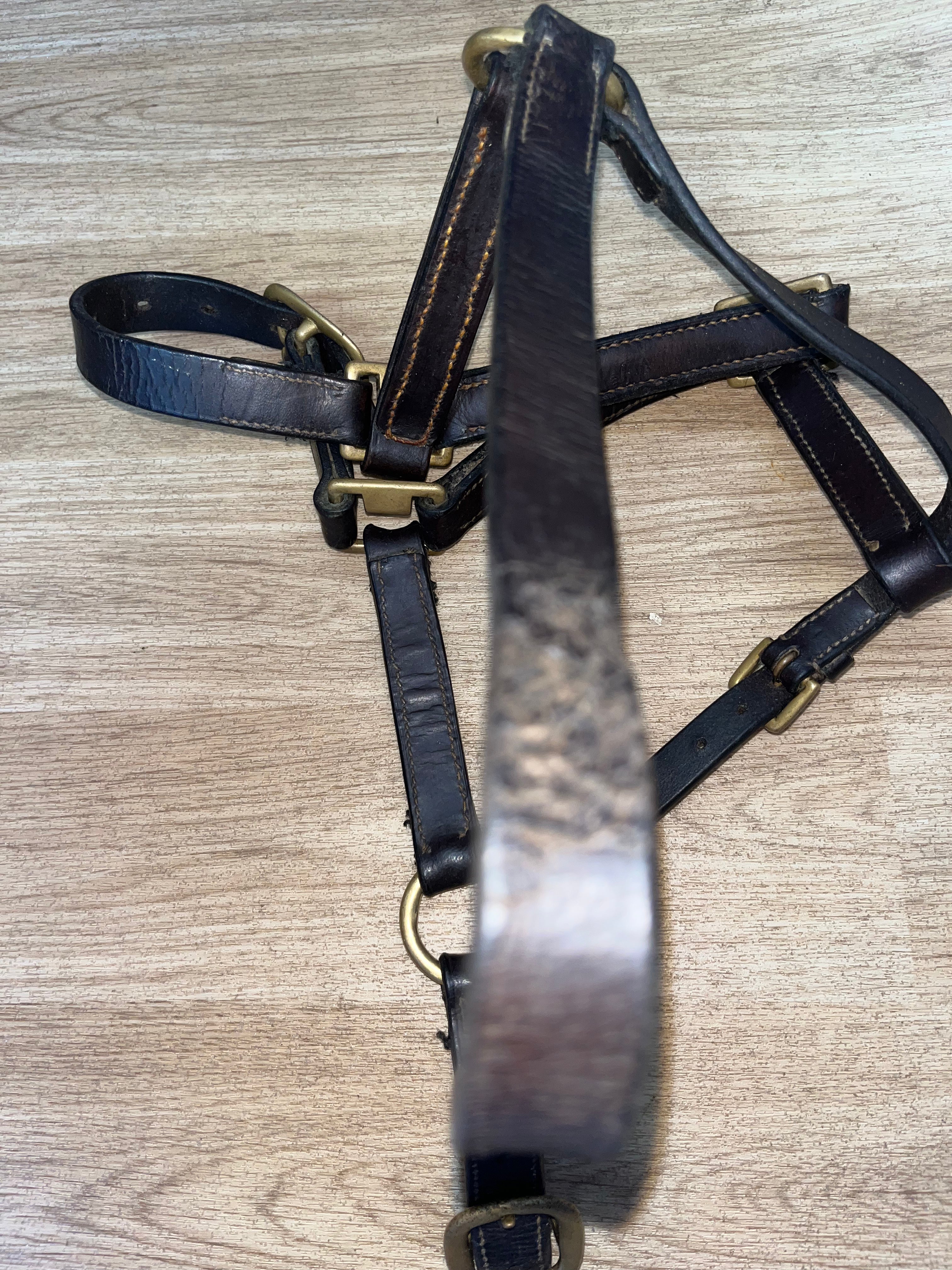 Blenheim Collection Leather Headcollar Size Pony