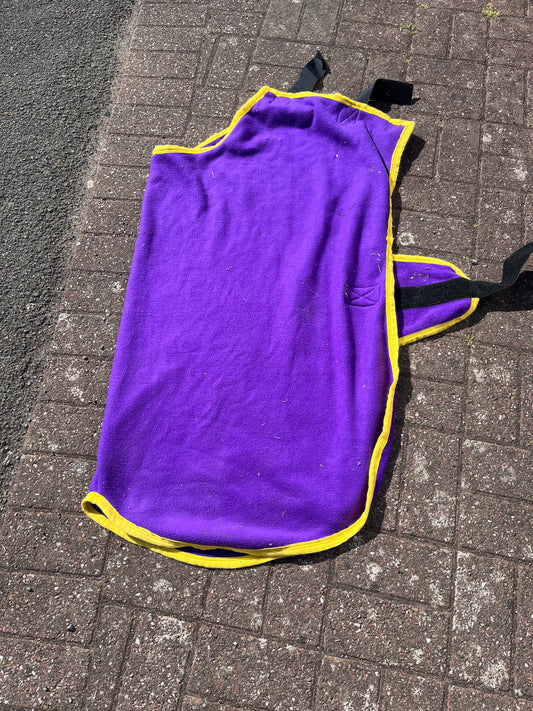 Foal Fleece Rug 3’9