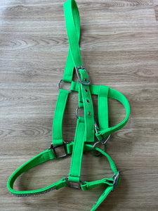 Cob Bling Headcollar