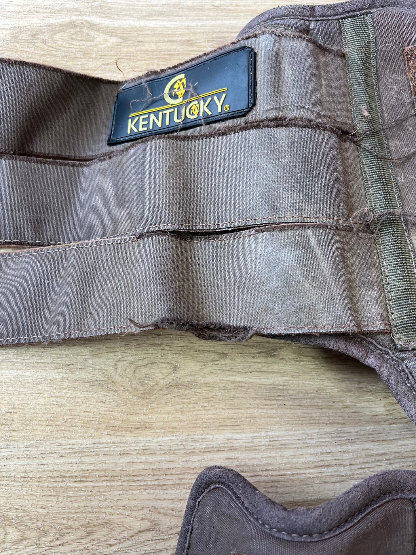 Kentucky Brushing Boots Full