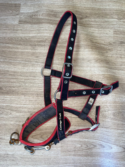 Cottage Craft Lunging Cavesson Pony