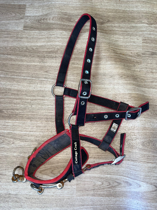 Cottage Craft Lunging Cavesson Pony