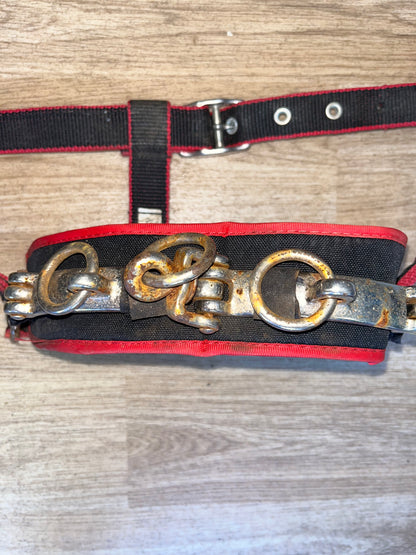 Cottage Craft Lunging Cavesson Pony