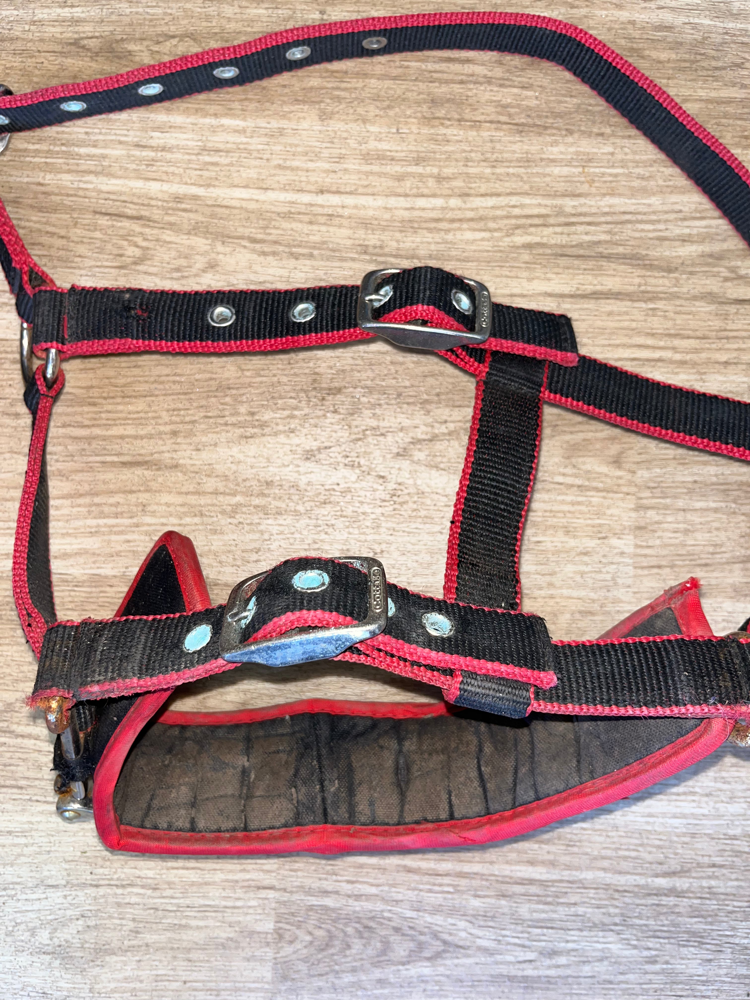 Cottage Craft Lunging Cavison Pony