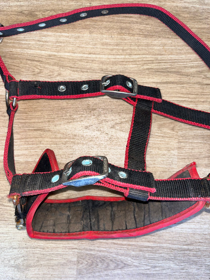 Cottage Craft Lunging Cavesson Pony