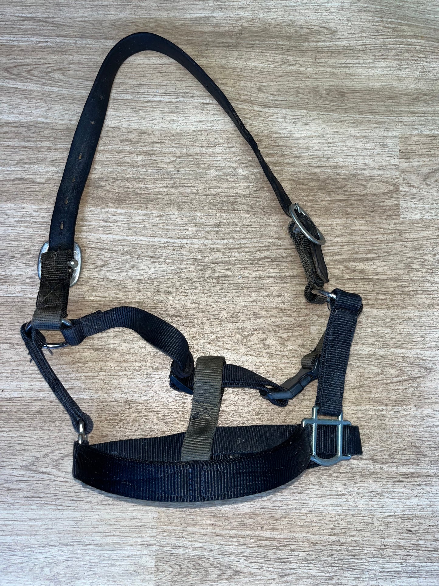 Field Safe Headcollar Full
