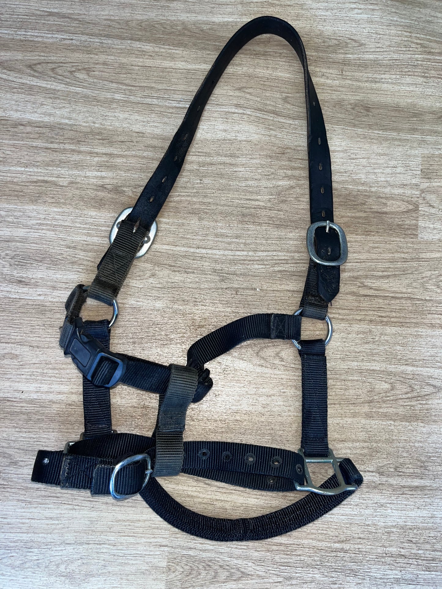 Field Safe Headcollar Full