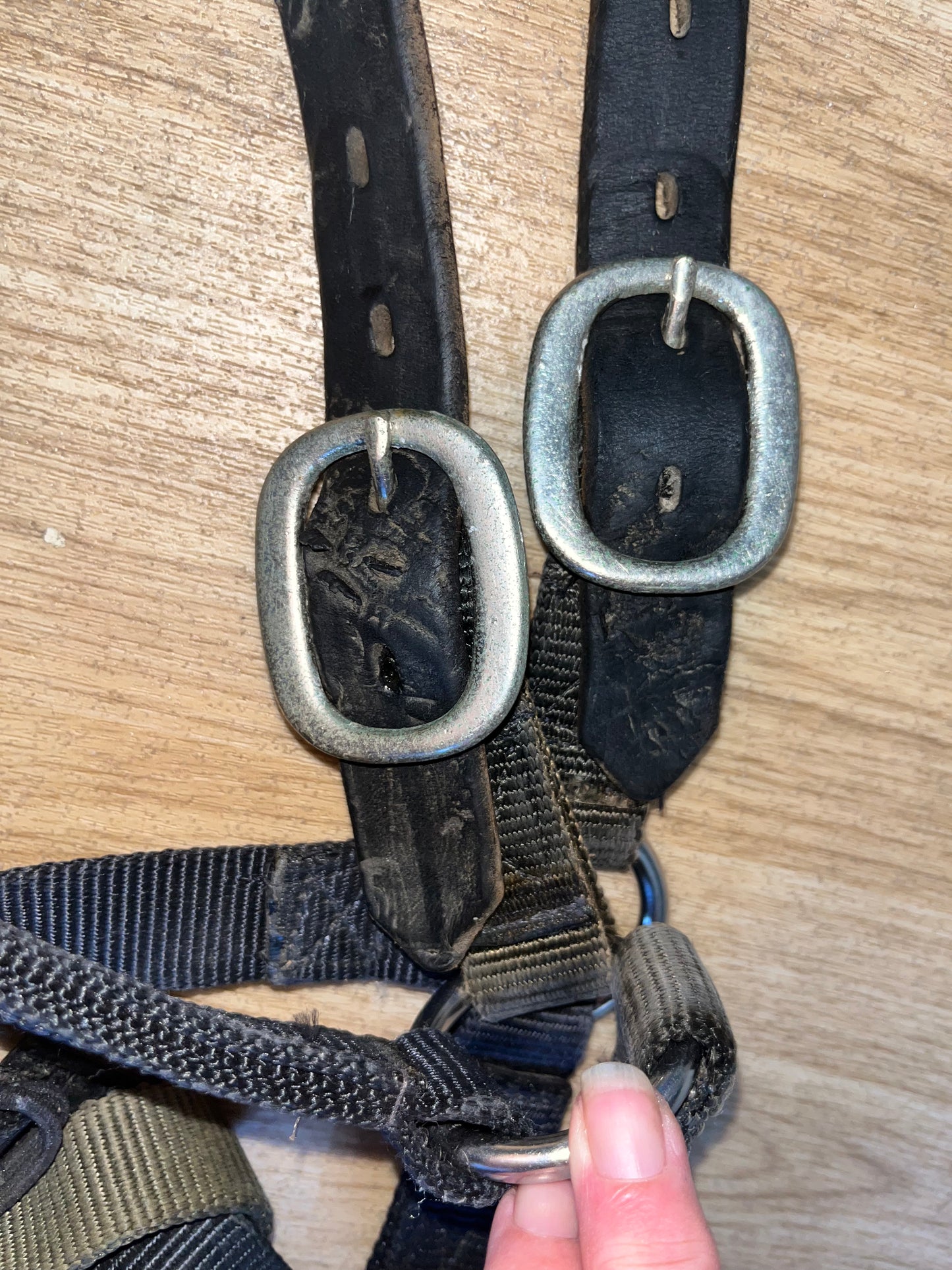 Field Safe Headcollar Full