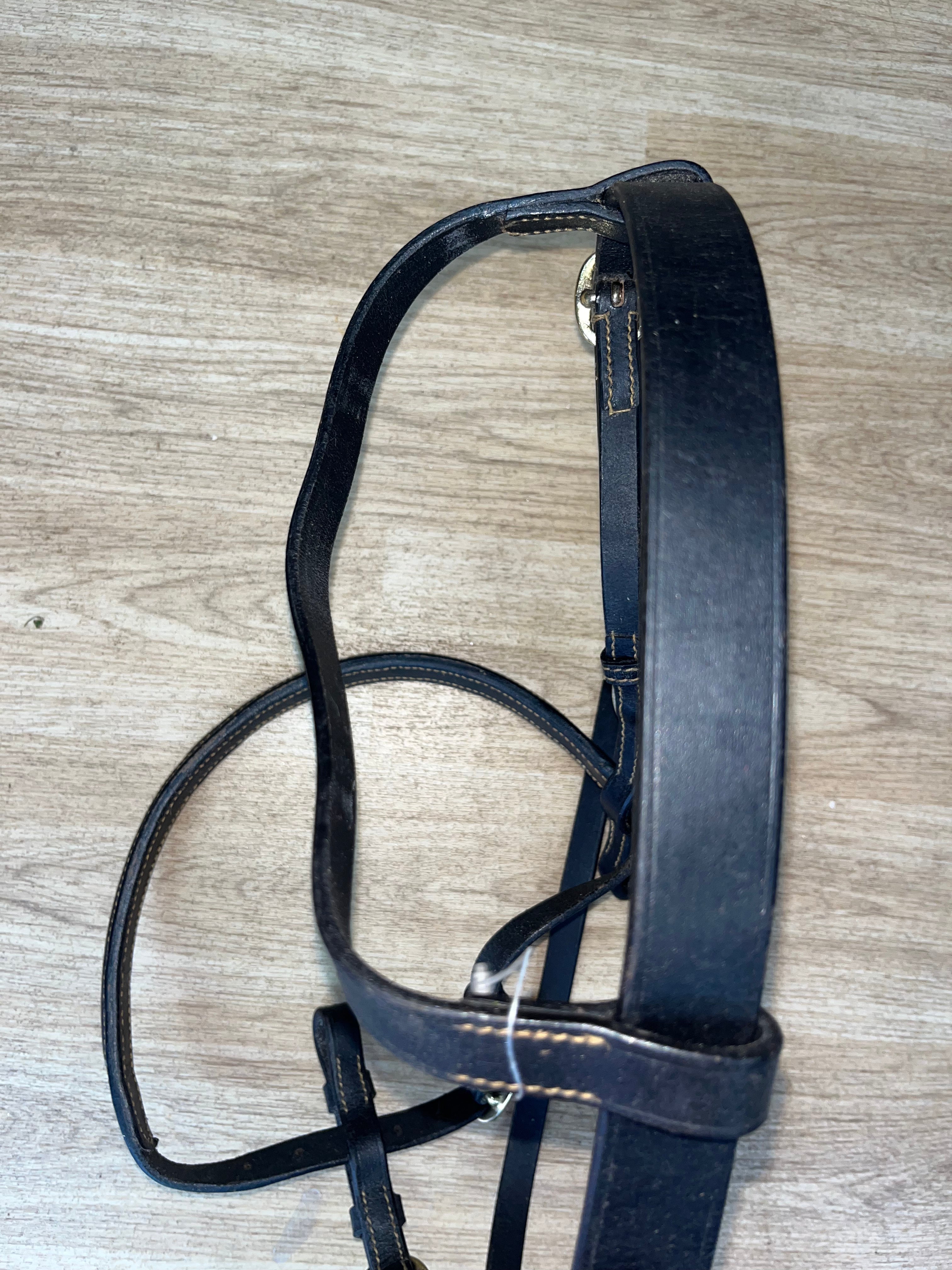 Inhand Bridle Black Cob