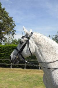 Rhinegold Anatomic Double Bridle With Crank Style Noseband