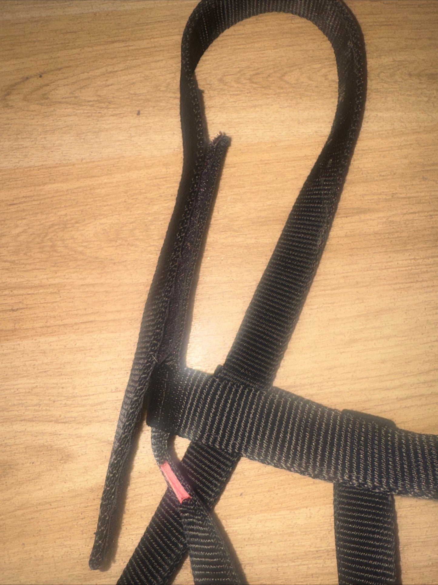 Pony Size Fieldsafe Headcollar #55