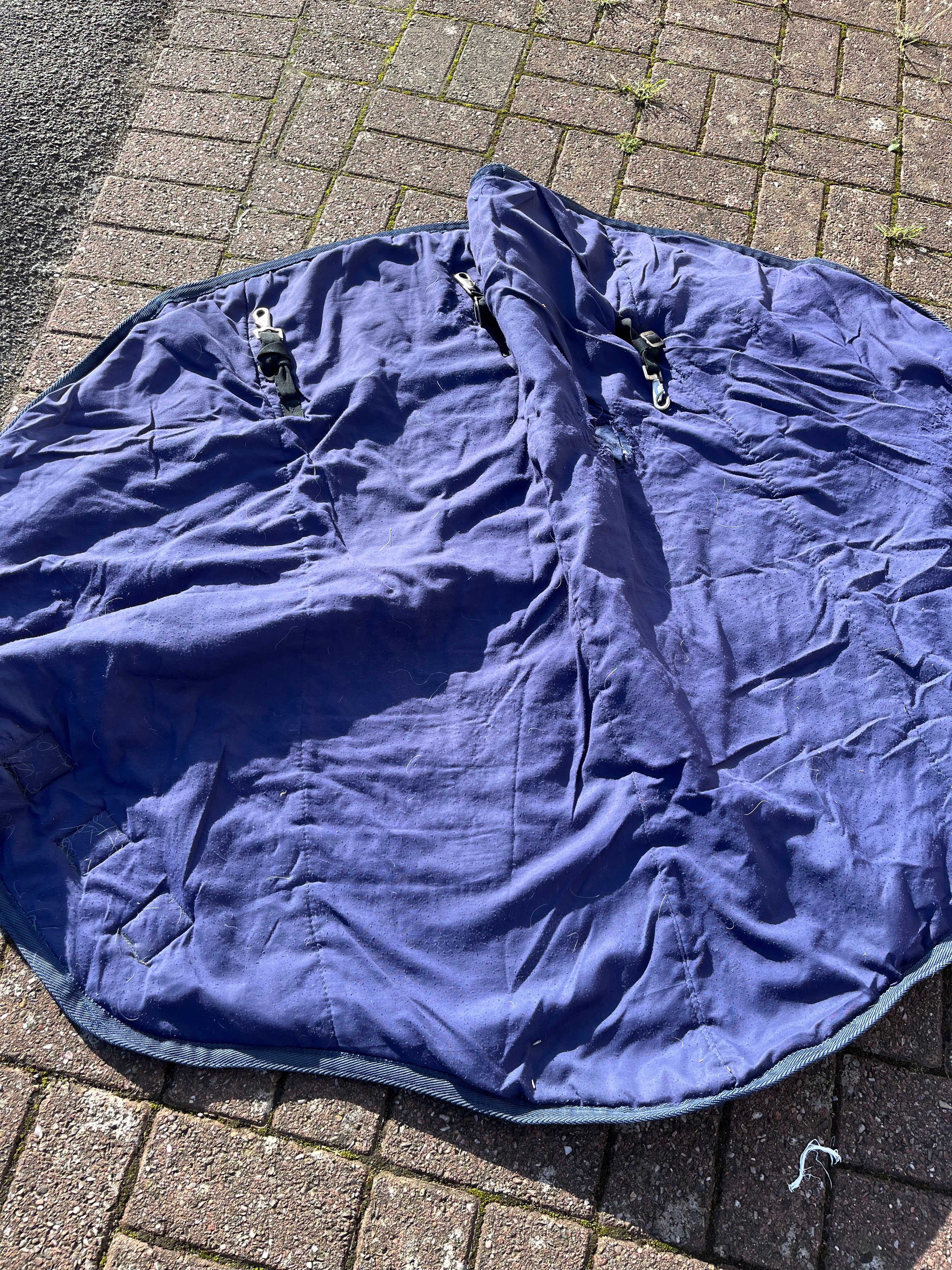 Turnout Neck Large 150g