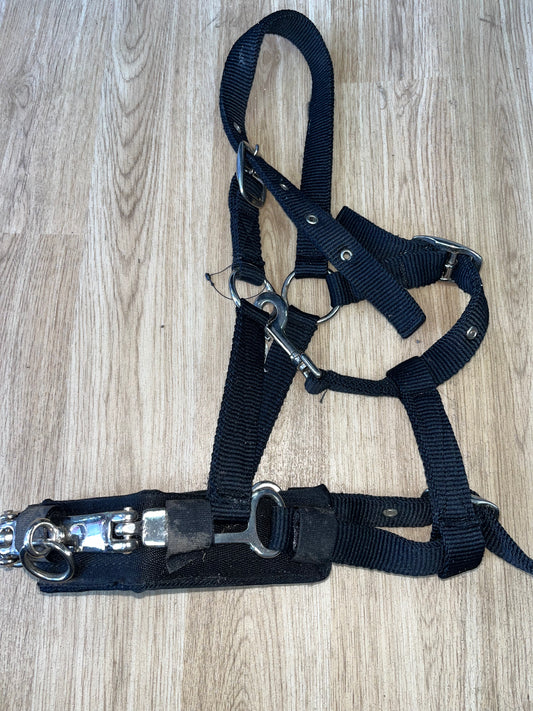 Lunging Cavesson Soft Webbing Cob