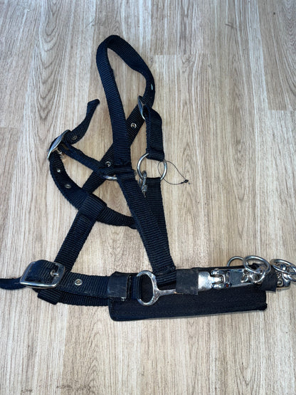 Lunging Cavesson Soft Webbing Cob