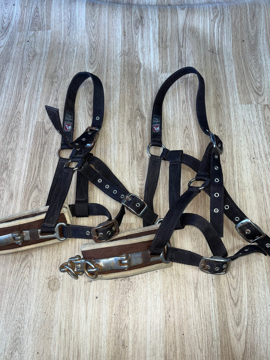 Cottage Craft Lunging Cavesson Webbing Large