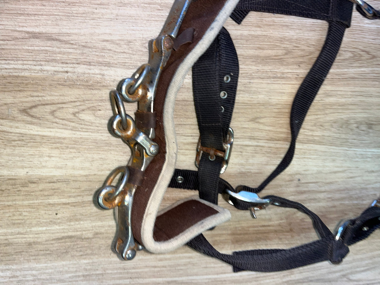 Cottage Craft Lunging Cavesson Webbing Large