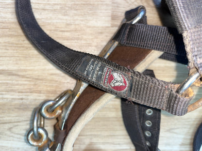 Cottage Craft Lunging Cavesson Webbing Large