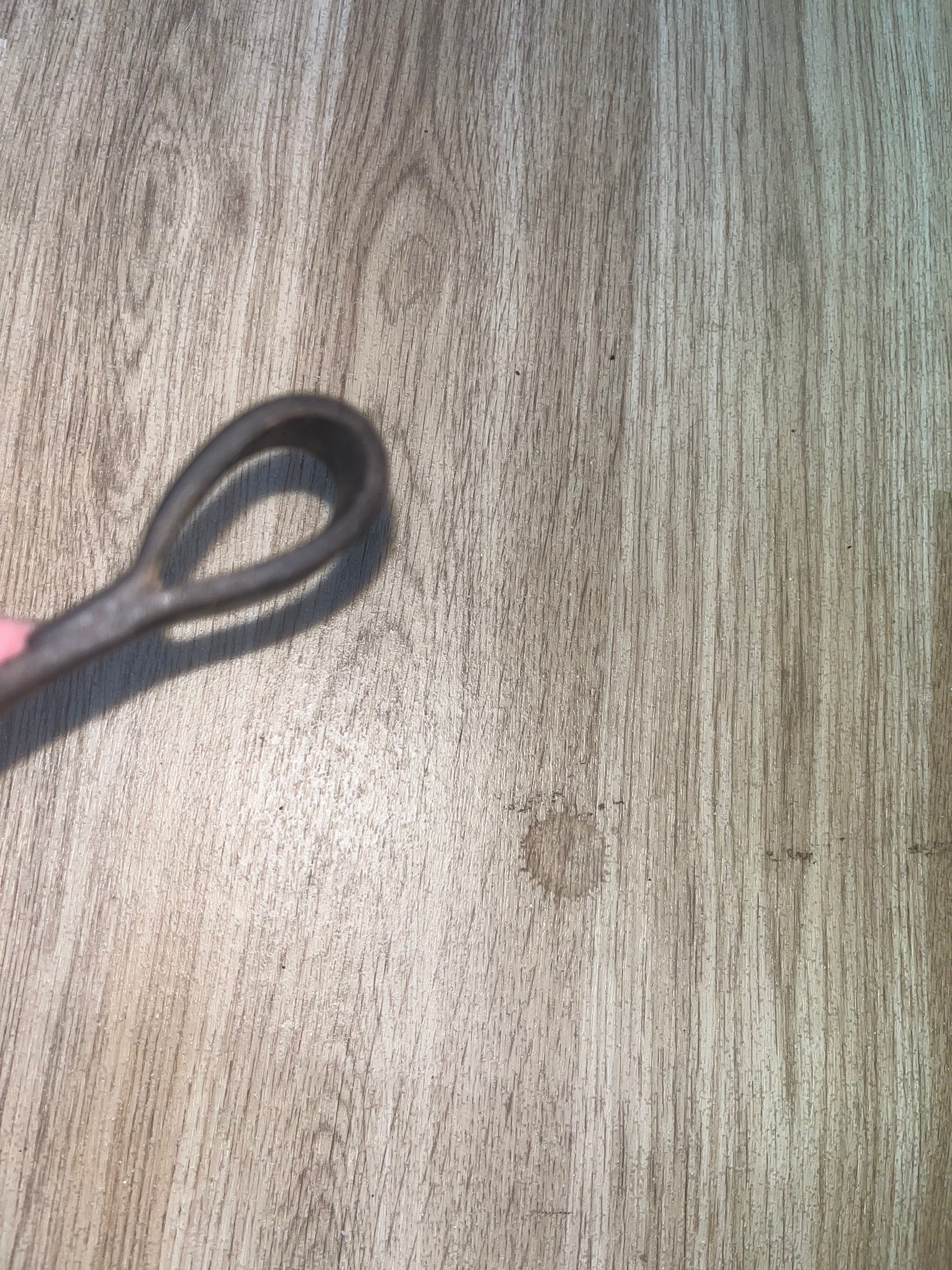 Brow Band Brown 15’ Long #16