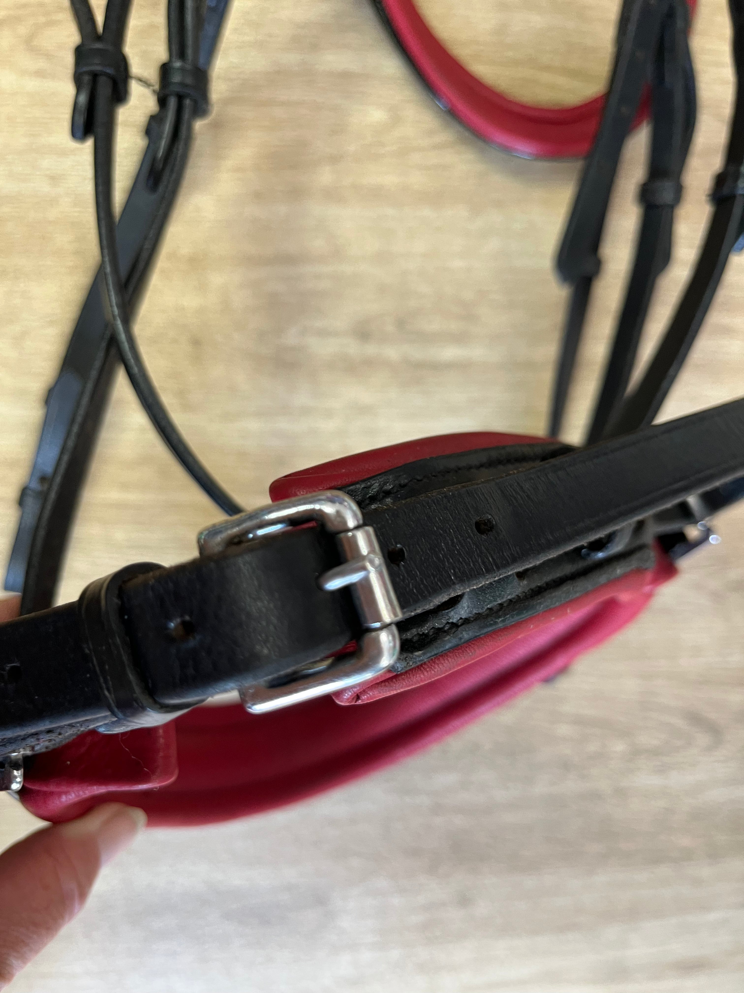 Authentic Equestrian Patent Bridle Full #44