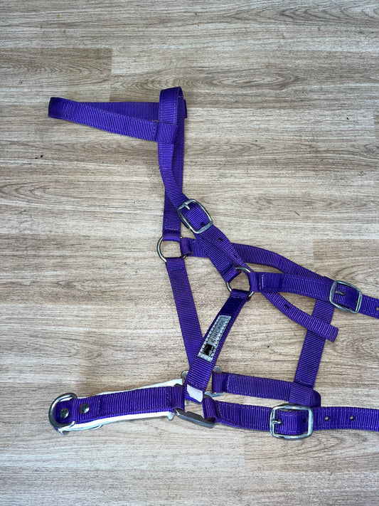 Kincade Cavesson Nylon Full