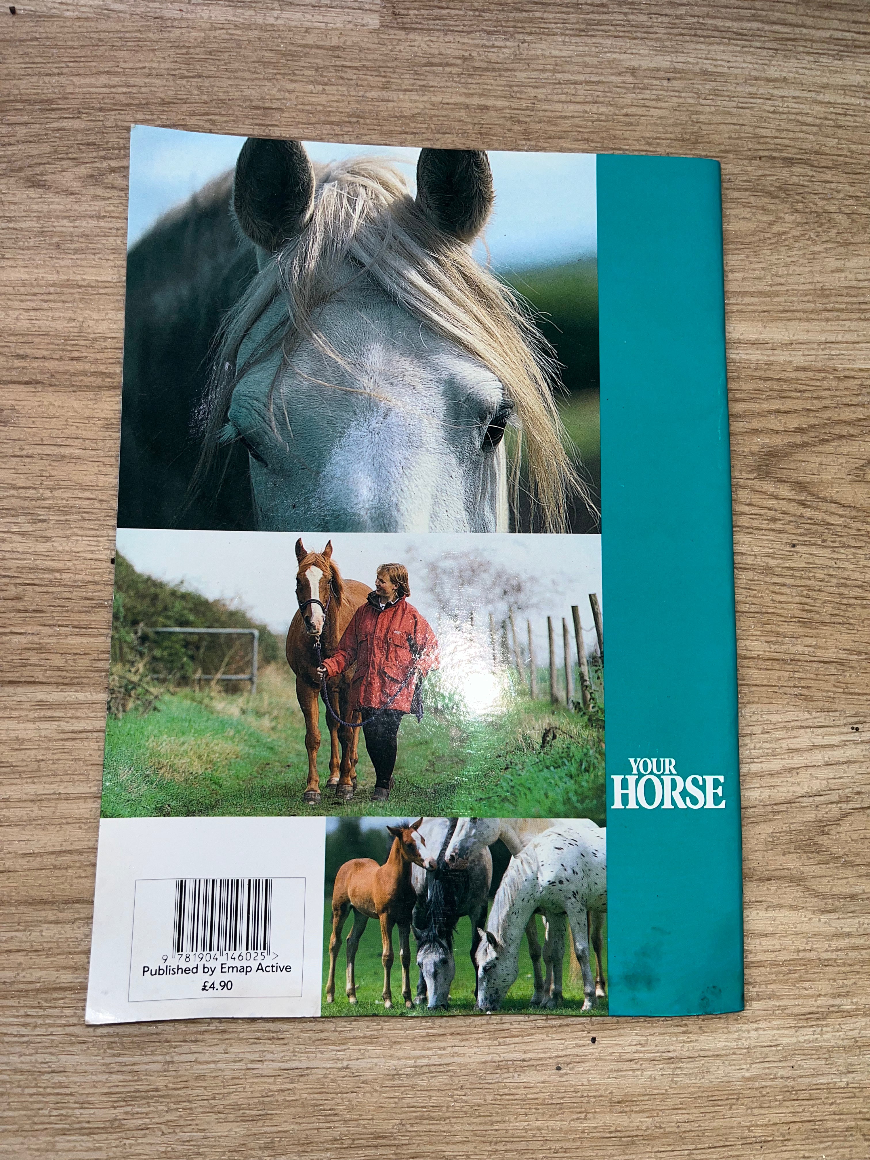 Holistic Horsemanship Book 1