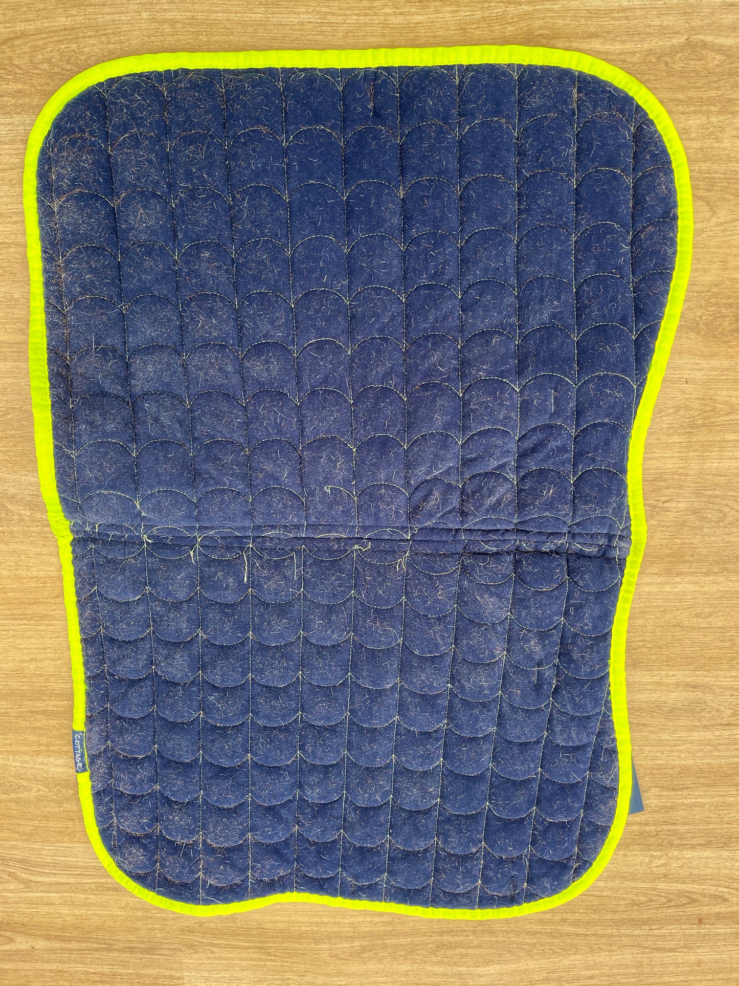 Cottage Graft  Size Pony Reflective Edge Saddle Pad