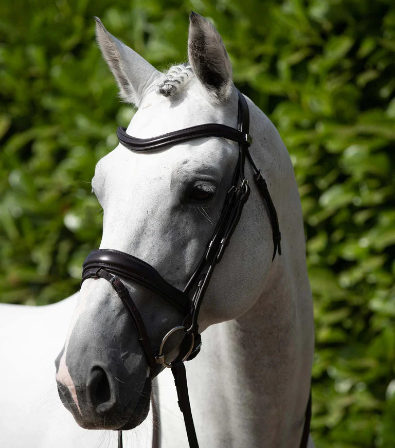 Rizzo Anatomic Snaffle Bridle with Flash Brown