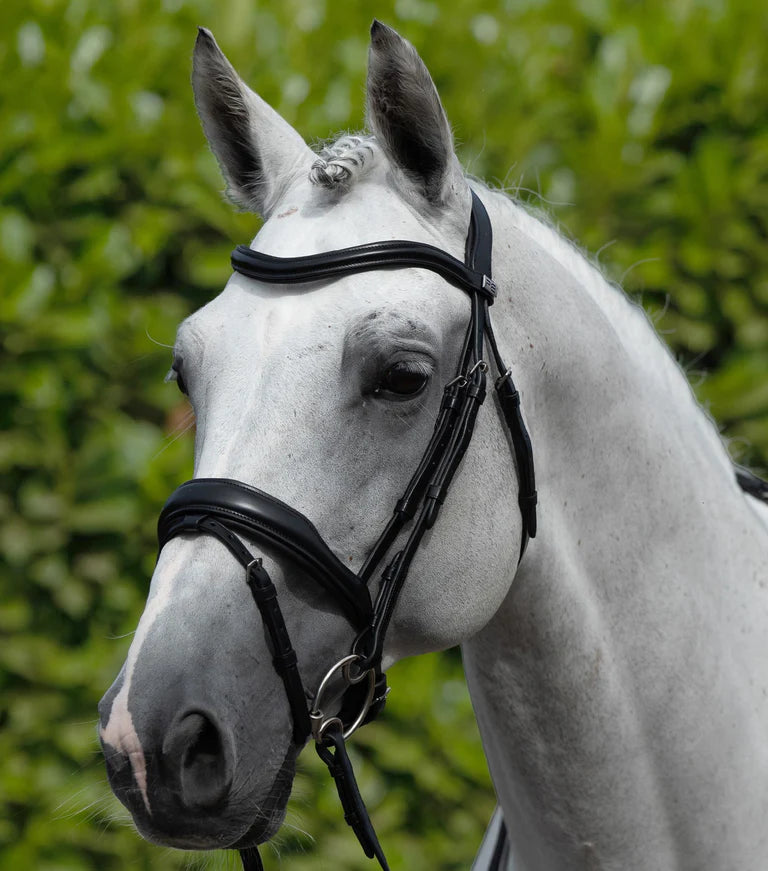 Rizzo Anatomic Snaffle Bridle with Flash Brown
