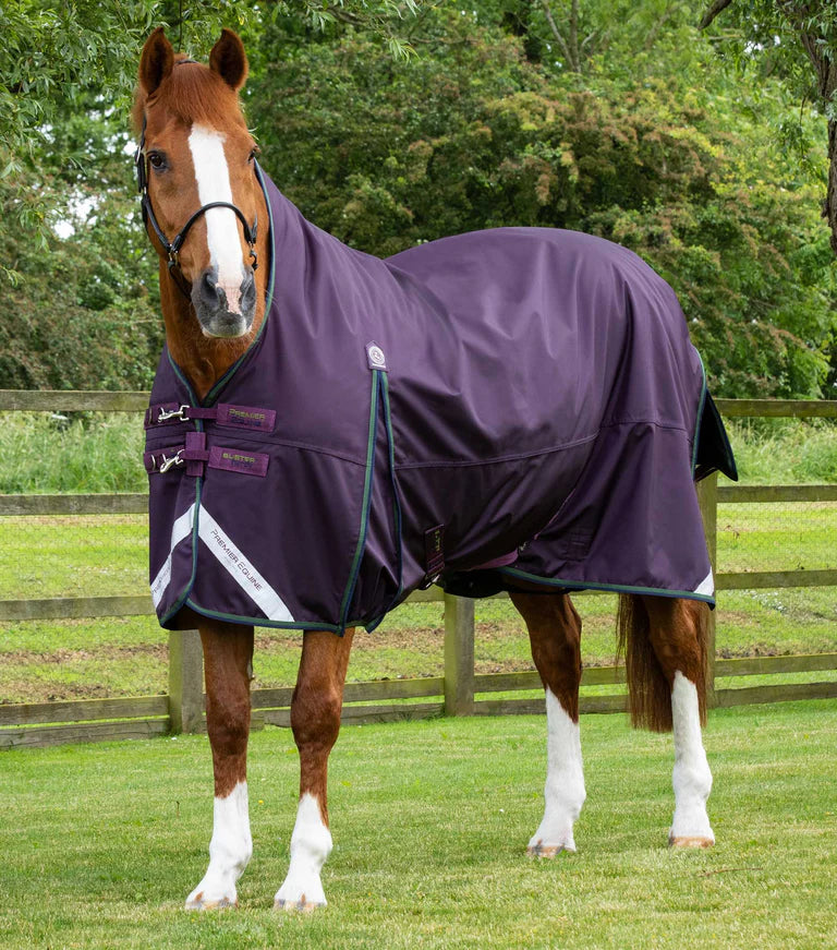 Premier Equine Buster Hardy 100g Half Neck Turnout Rug Black