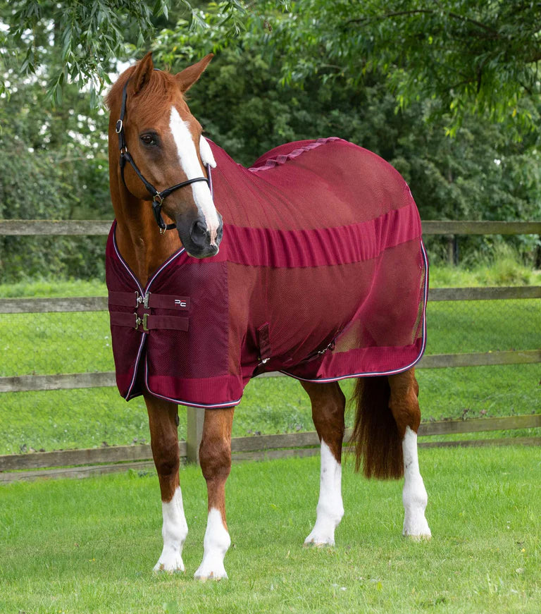 Premier equine Arisca Scrim Cooler