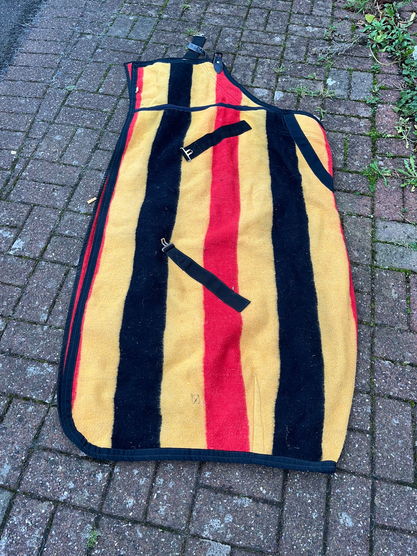 Whitney Wool Travel Day Stable Rug 5’6