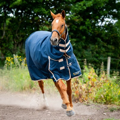 Gallop Trojan 50gm Turnout Rug