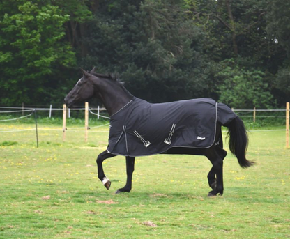 Rhinegold Capri 100gsm Turnout Rug