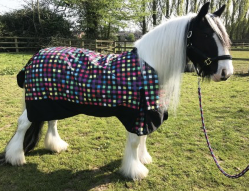 Sheldon Spectrum 50g Summer Turnout Rug