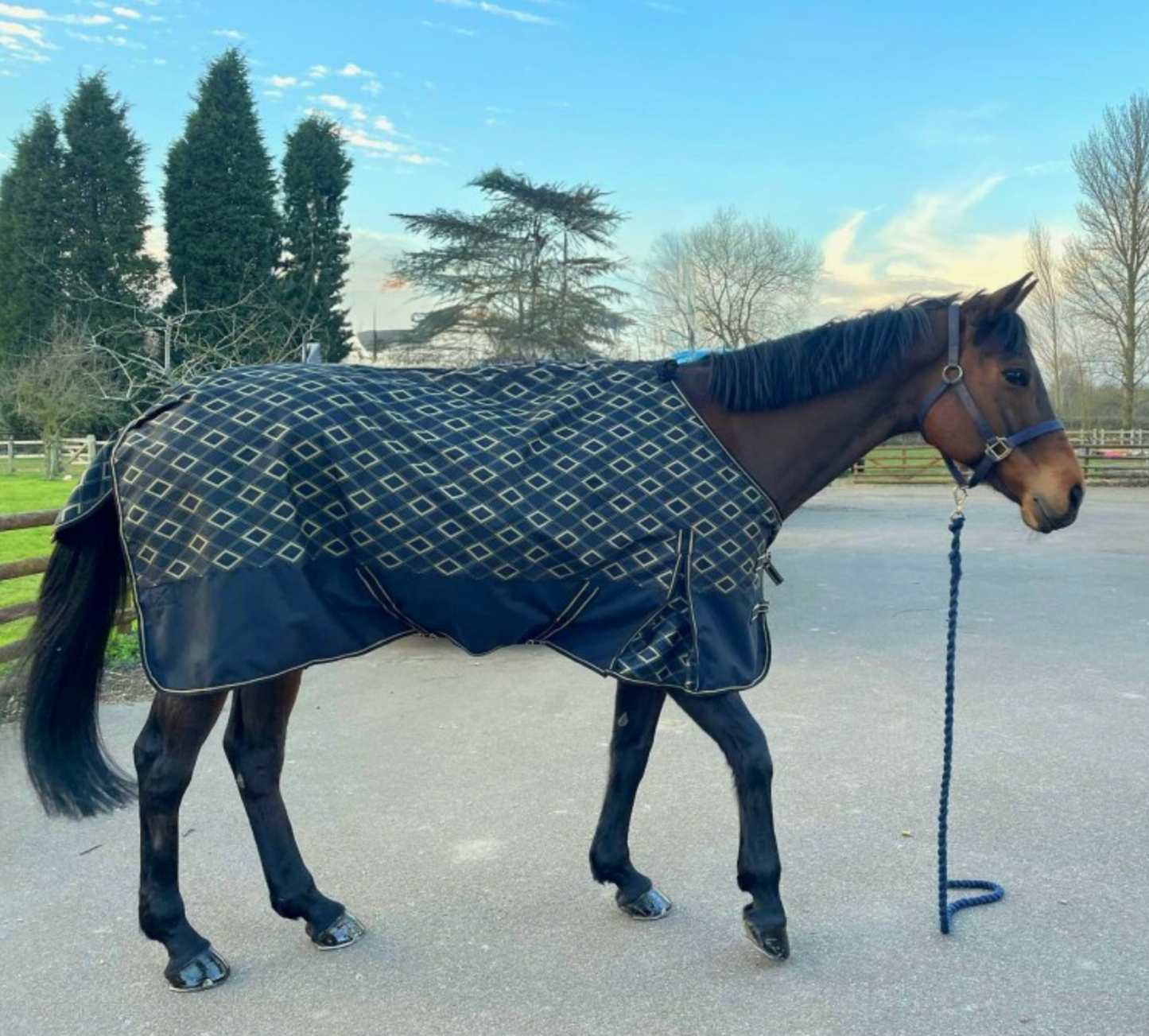 Sheldon 50g Std Neck Turnout Rug (1200d)