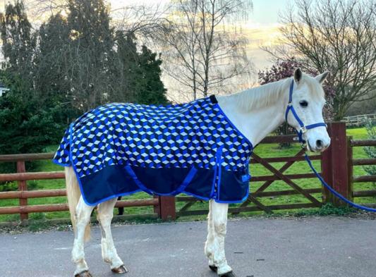 Sheldon No Fill Turnout Rug