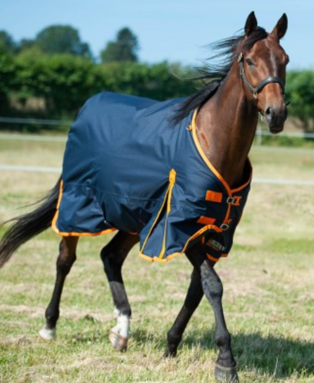 Gallop TROJAN 100g Turnout Rug