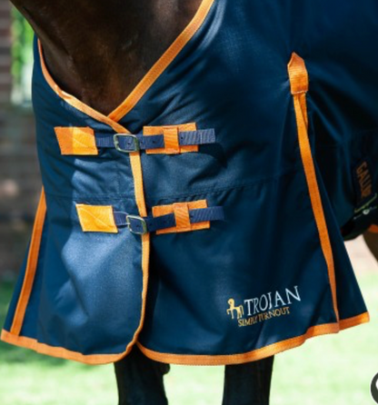 Gallop TROJAN 100g Turnout Rug