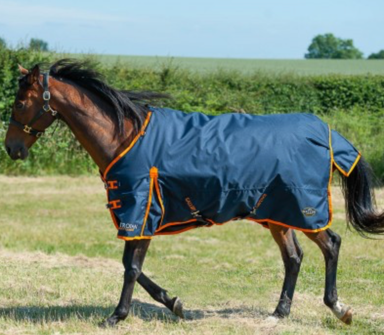 Gallop TROJAN 100g Turnout Rug