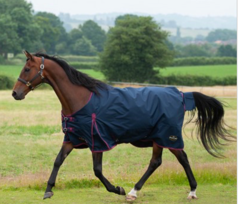 Gallop TROJAN 50g Turnout Rug - 7Ft