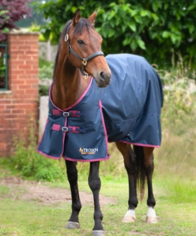 Gallop TROJAN 50g Turnout Rug - 7Ft
