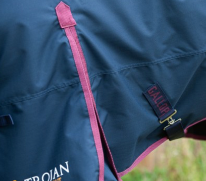 Gallop TROJAN 50g Turnout Rug - 7Ft