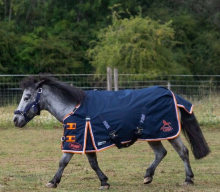 Gallop NEW 600D PONIE 100g Duraproof 5-Point Turnout Rug