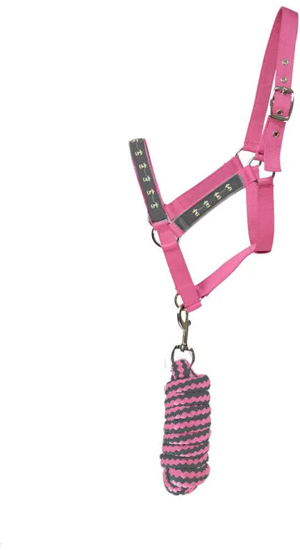 Hy Equestrian Merry Go Round Full Headcollar Set