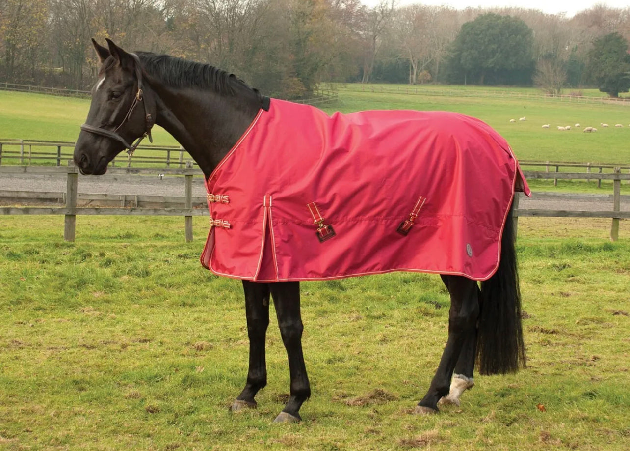 Rhinegold Torrent Lightweight Outdoor Rug