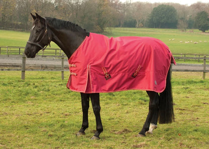 Rhinegold Torrent Lightweight Outdoor Rug