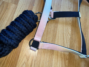 Hy Equestrian Dazzling Dream Headcollar & Leadrope